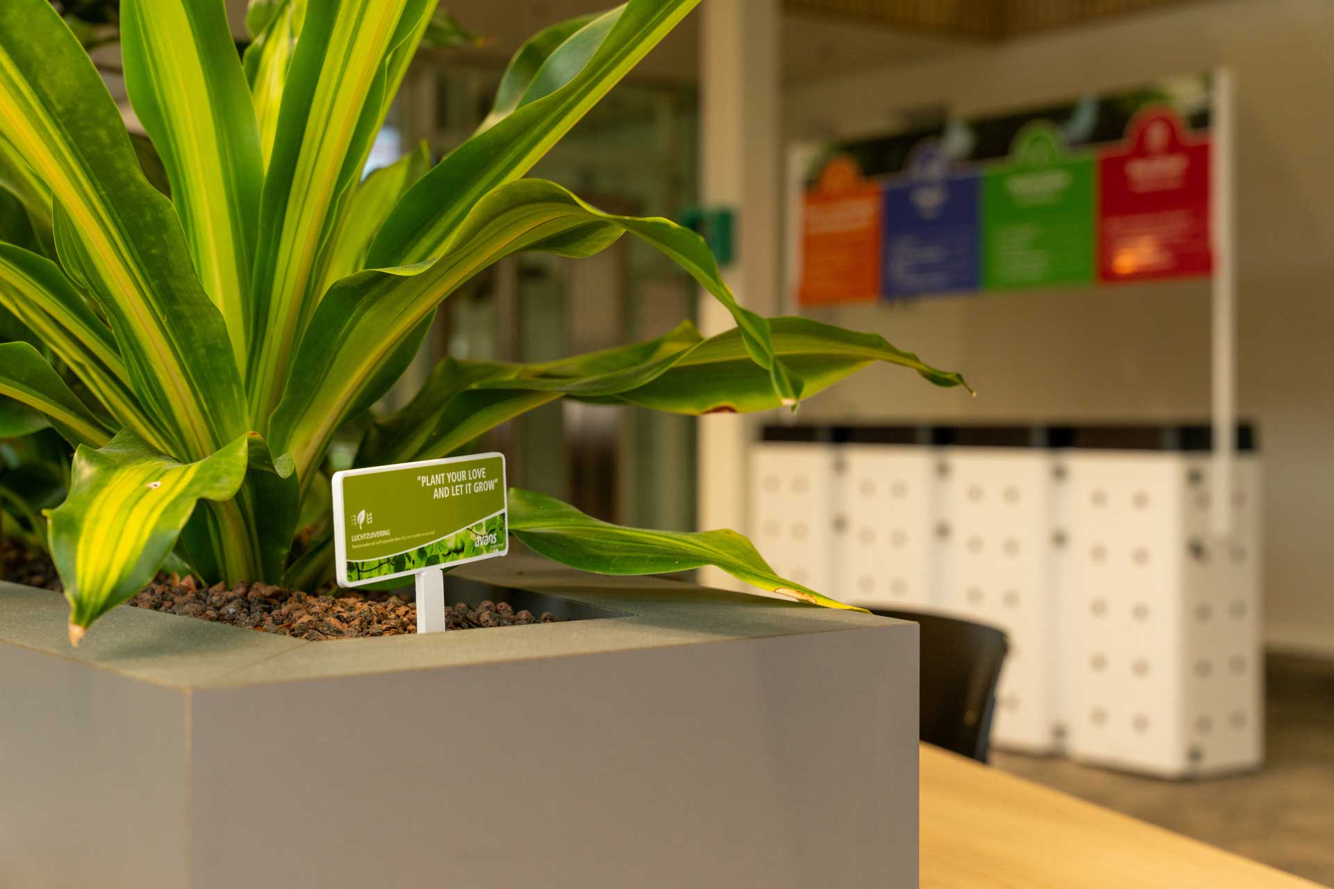 Green plants and garbage separation