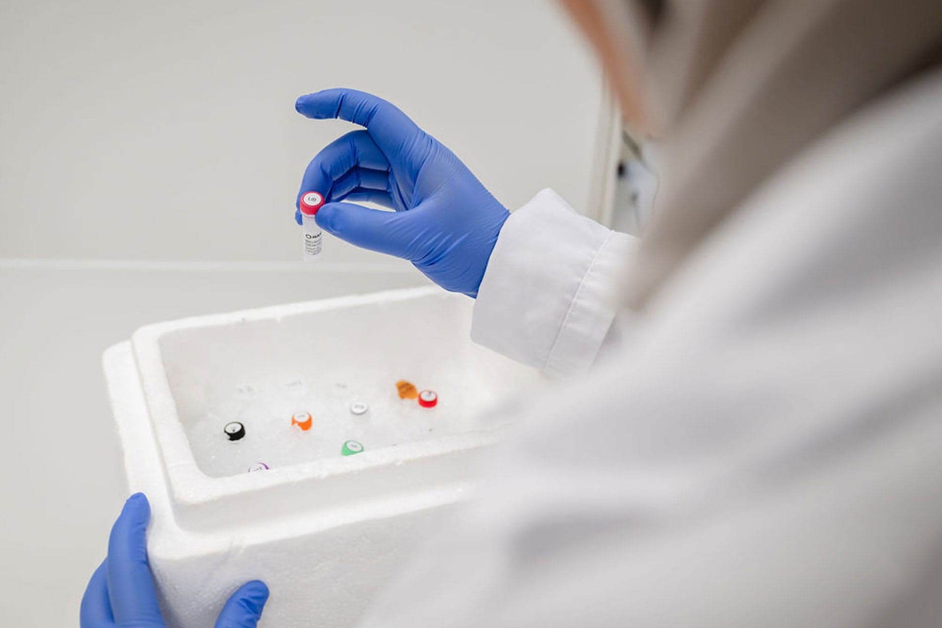 Wat zijn zoönosen artikel Perspectief in Gezondheid