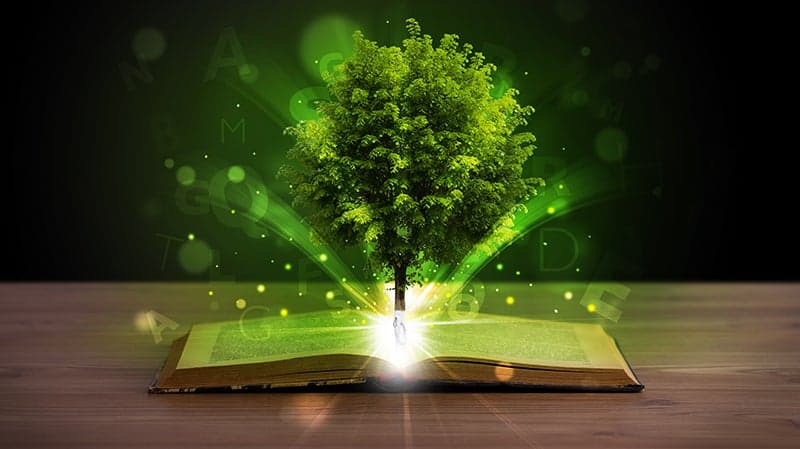 Project Lerend Netwerk Biobouwers Avans