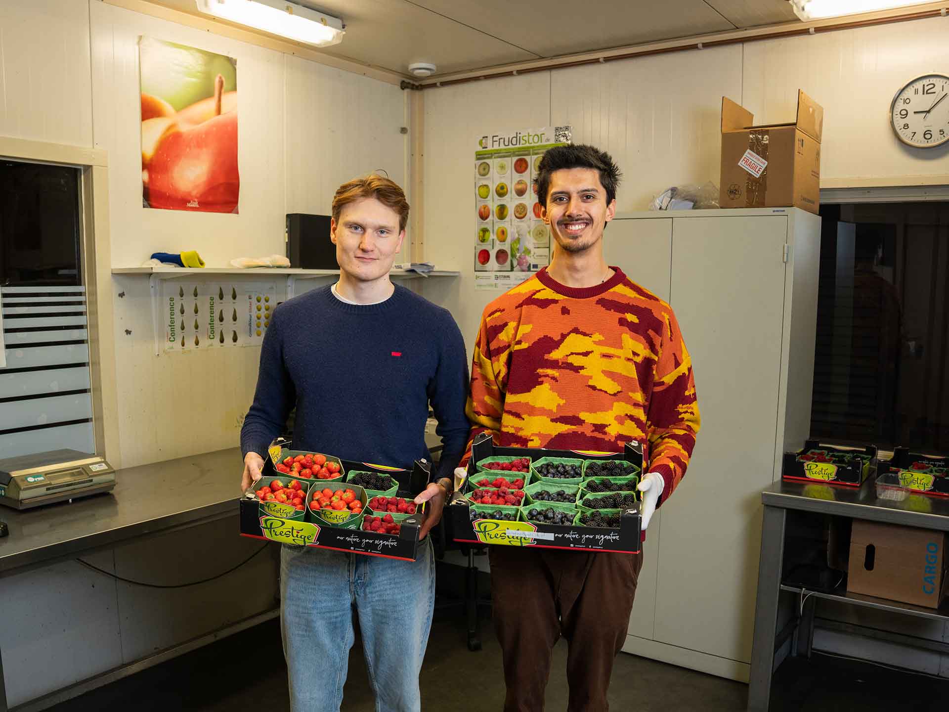 2 Avans studenten hebben dozen vast met daarin duurzame aardbeien, frambozen en blauwe bessen