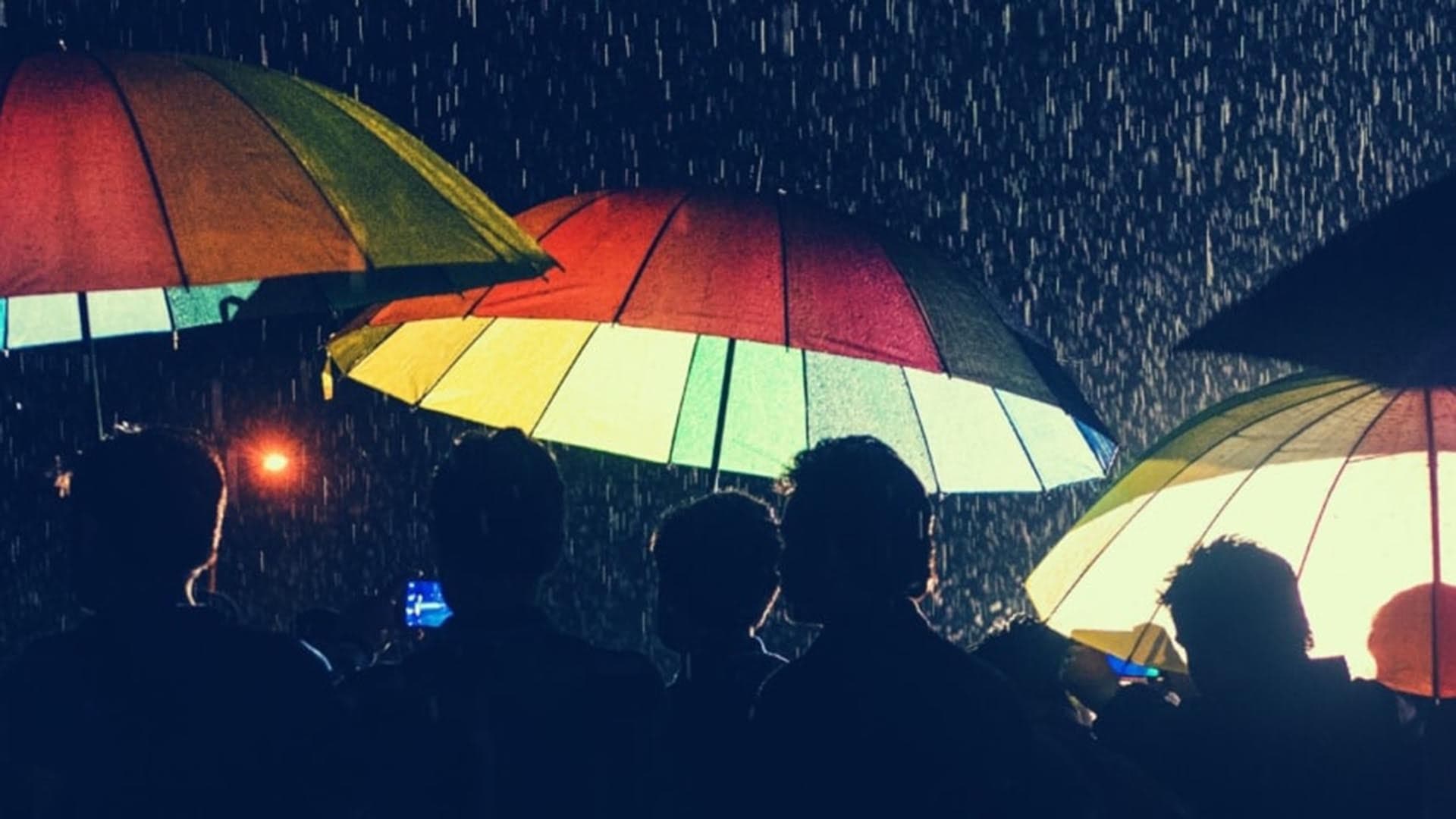 Regenboogkleuren op paraplu's.