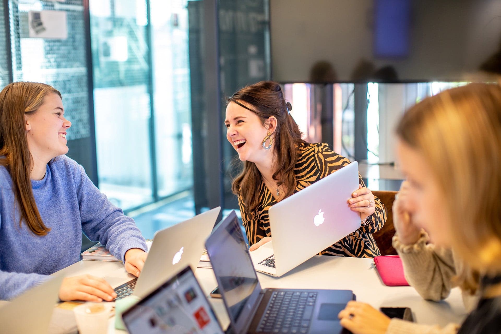 3 studenten van Software Engineering zitten achter hun laptop