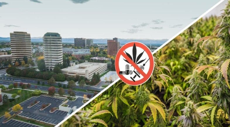 Vastgoed en een wietplantage