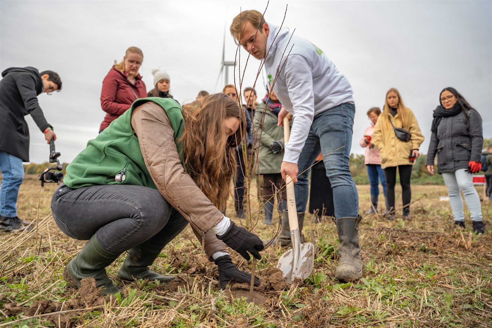 Afstudeerders van Avans planten hun eigen afstudeerboom