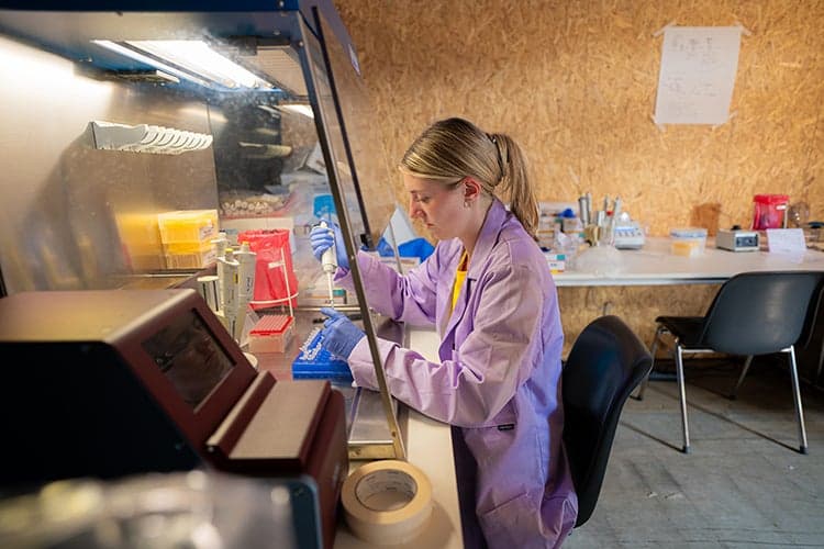 Onderzoek Viva la Vaginoom van Centre of Expertise Perspectief in Gezondheid bij Lowlands.