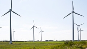 Windmolenpark Hazeldonk