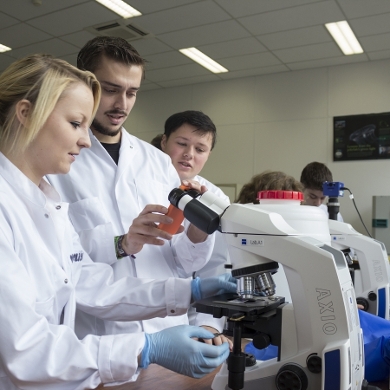 Avans in groot onderzoek infectieziekten muggen