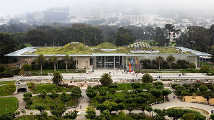 Ondenkbare Marketing