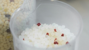 Biobased Building Blocks and Products