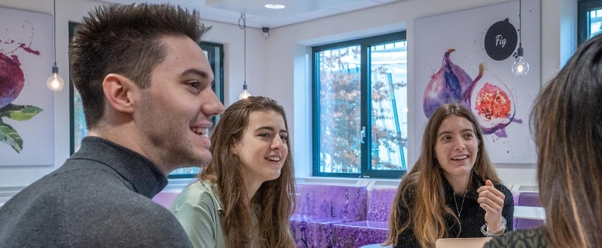 International Business