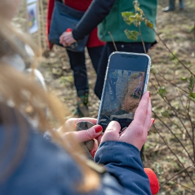 5.500 bomen voor geslaagden van Avans