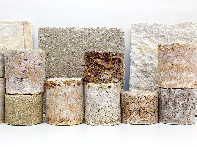 Centre of Expertise Biobased Economy onderzoekt mycelium inzet voor bouwsector