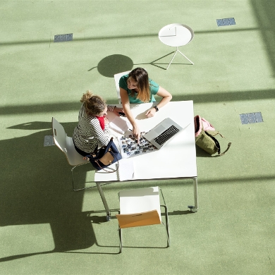 Loslaten bindend studieadvies logisch