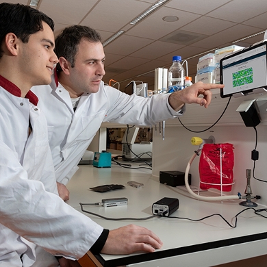 Meer inzicht en beter handelsperspectief nodig bij varkensgriep