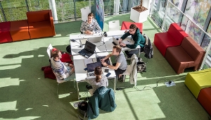 Inclusief Blended Hoger Onderwijs