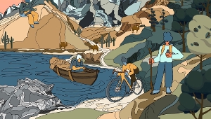 Scoping review transdisciplinaire samenwerkingen