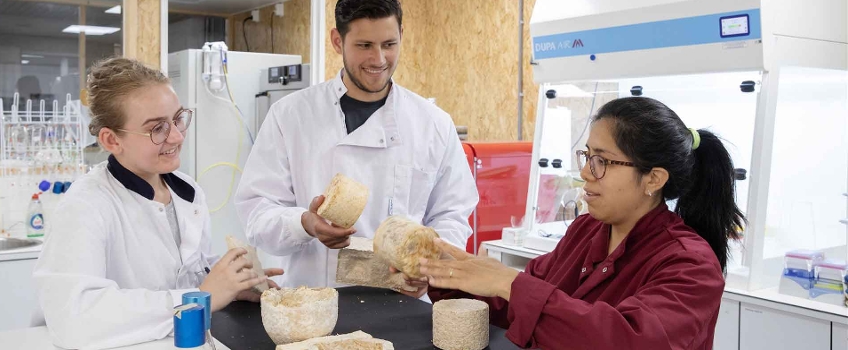 3 onderzoekers bestuderen een materiaalsoort in een labruimte